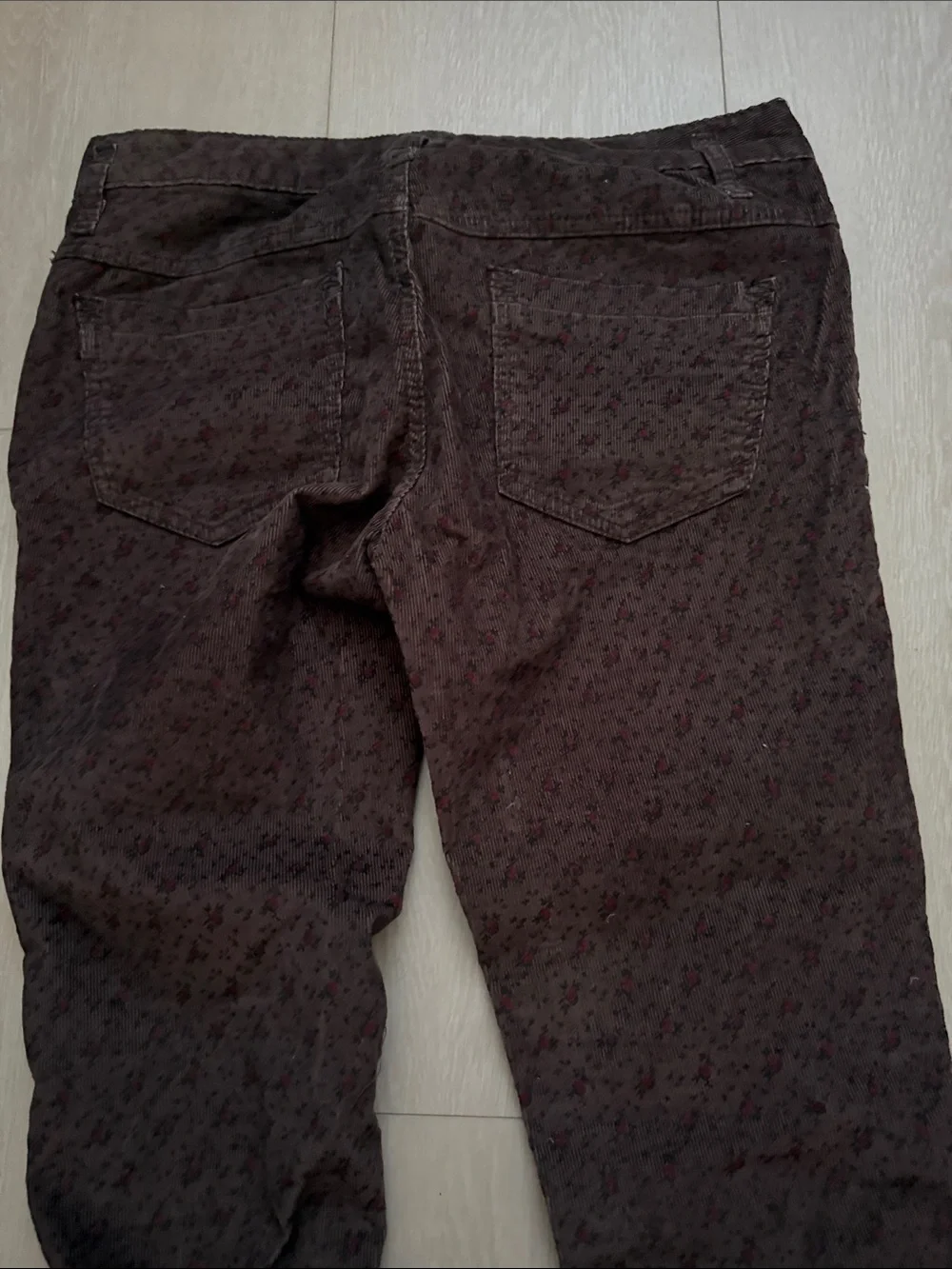 Free People Dark Brown Corduroy Burgundy Floral-Textured Skinny Chinos